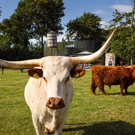 Bed&bbq Longhornranch Daire *