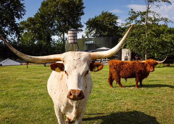 Bed&bbq Longhornranch Daire *