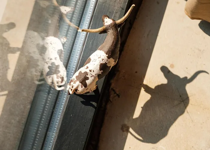 Bed&bbq Longhornranch Daire Akersloot