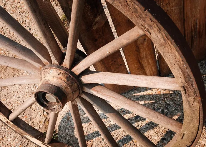 Bed&bbq Longhornranch *